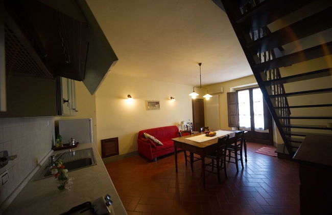 azienda agricola lo zolfino - Foto 25