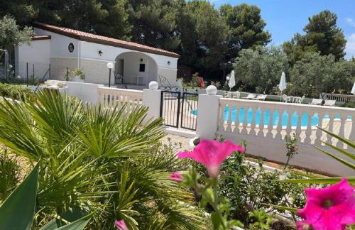 Villa Nunziatella Badia - Photo 79