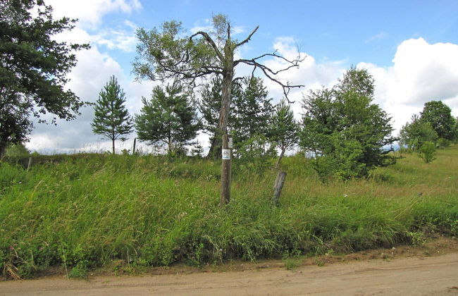 Holiday Home Right on the Lake, Florczaki - Foto 15