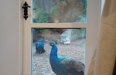 The West Wing at Eriviat Hall Hot Tub - Photo 71