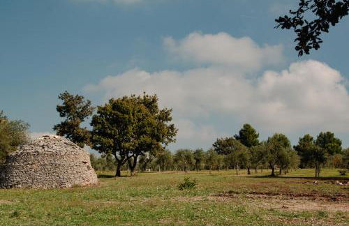 Terre di Sveva - Foto 6