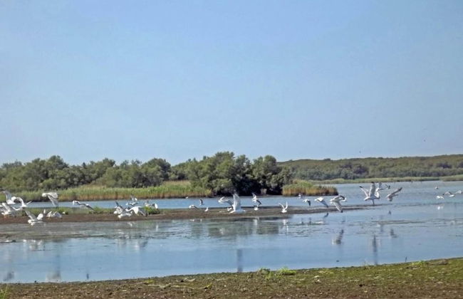 Pet-friendly Getaway With Pool - Foto 33