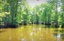 Lakefront Tiny Emerald wkayaks & canoes - Foto 53