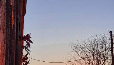 Kunstgut Patapaya - Foto 2