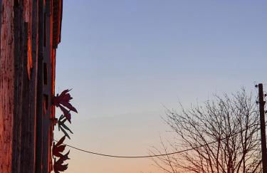 Kunstgut Patapaya - Foto 2