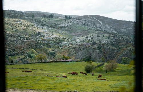 Refúgio Nariz do Mundo (Casa do Meio) - Foto 20