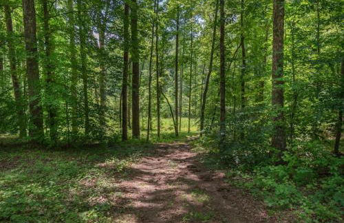 Modern Cabin in the Woods with Hot Tub - Photo 25