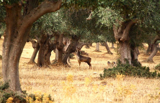 Country Resort Le Due Ruote - Foto 64