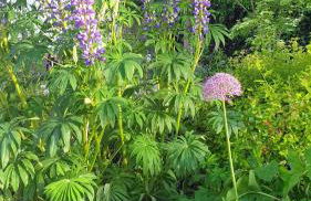 The Old Bank Beautiful Cotswold House with Huge Garden - Photo 32