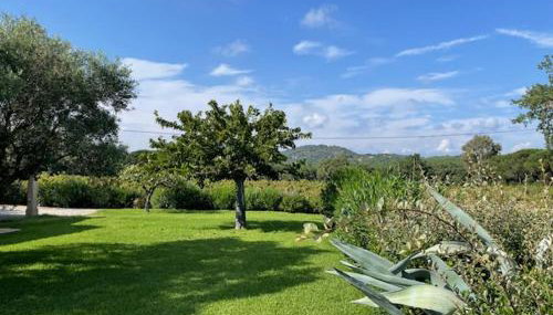 Le Petit Domaine - Foto 4