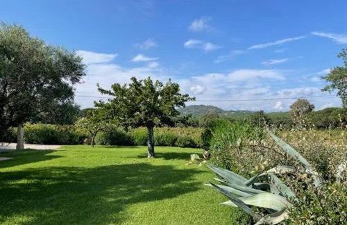 Le Petit Domaine - Foto 4