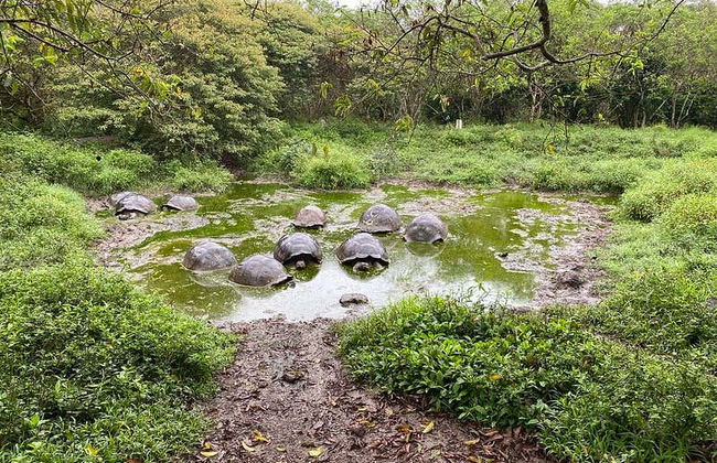 El Chato Ranch Giant Tortoise Tour - Photo 1