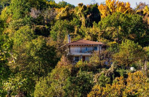 Σπίτι στο Τείχιο με θέα Βαρδούσια και Γκιώνα - Foto 31