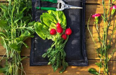 Magiczne Podlasie - Foto 34