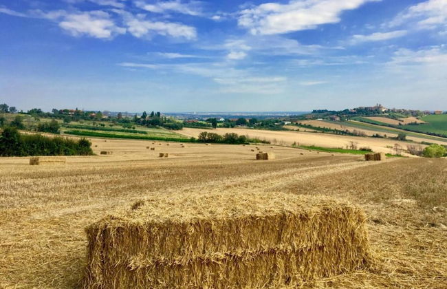 Apartment Amidst Vineyards & Blue Skies - Foto 36