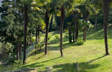 Villino Tarlarini - Foto 49