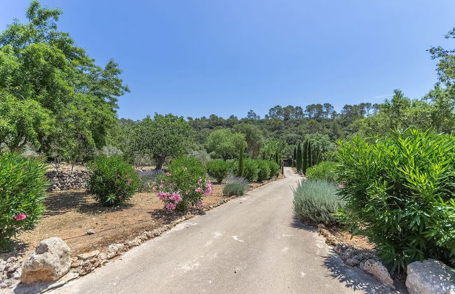 Casa Pina - Photo 19