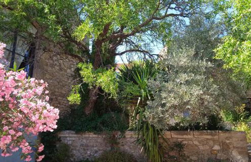 Mazet Des Artistes - Foto 9