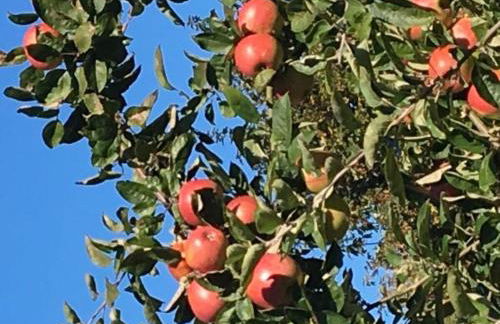 Savoir Vivre Modern Retreat - Foto 69