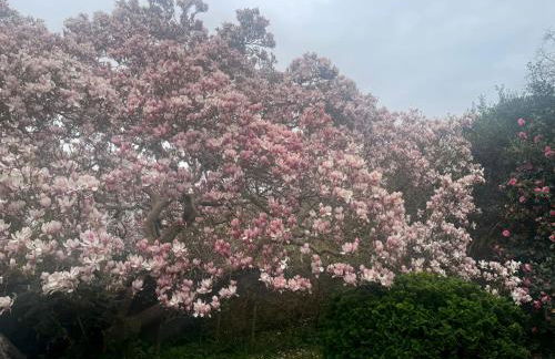 Gweryl Lodge - Foto 50