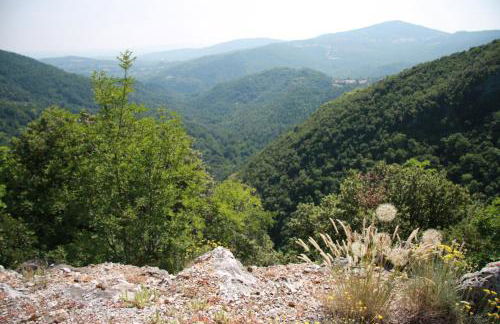 Borgo Fango - Foto 27