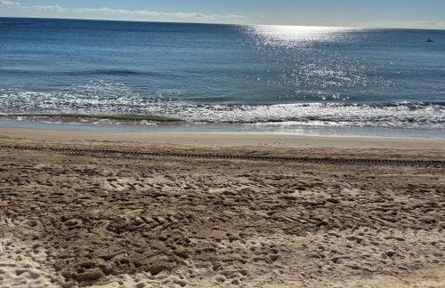 Apartamento primera línea playa Torrevieja El Palmeral - Foto 39