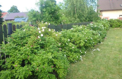 U Aptekarzy - Foto 46