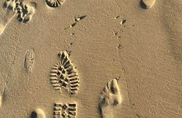 The Old Stable at Manor House, Middleton - Foto 38