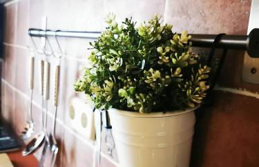 El Rincón de Pirón - Foto 31