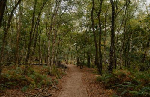 The Carriage House by Birch Stays - Photo 50