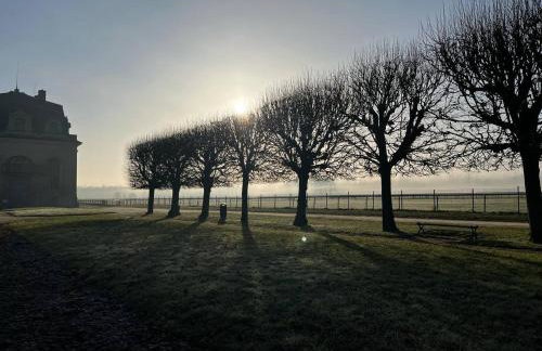 Le jardin de L'Hippodrome - Foto 42