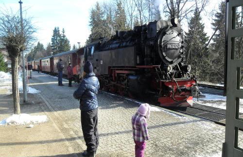 Ferienwohnung, Rübeland - Foto 36
