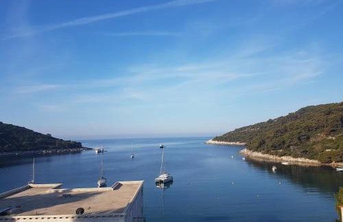 Apartments Villa Hansal - Photo 29