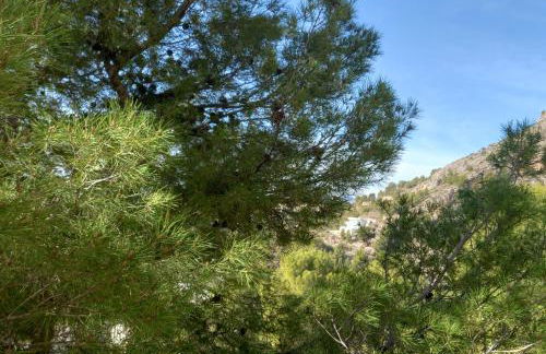 Townhouse Altea Hills - Photo 44