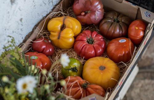 Villa «Occimara» Corse - Foto 22