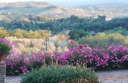 Anthos Casa Vacanze - Foto 75