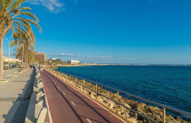 Villa Teulera in Palma de Mallorca - Photo 52