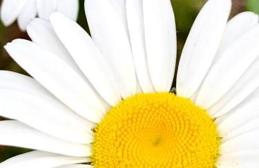 The Barn House - Foto 26