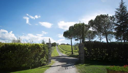 Tenuta San Filippo - Foto 3, Garden