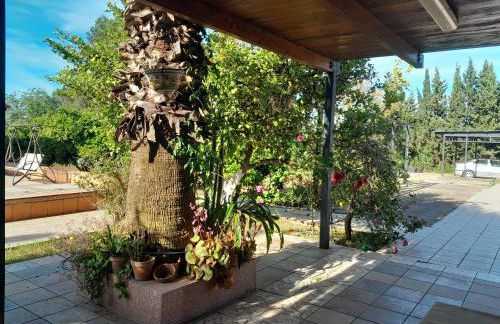 Spacious Garden Villa, private pool, huge grounds with orange trees - Foto 42