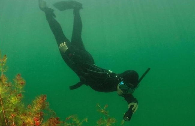 Agriturismo Due Laghi - Foto 14