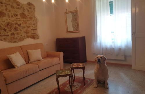 Casa Massa - Foto 17