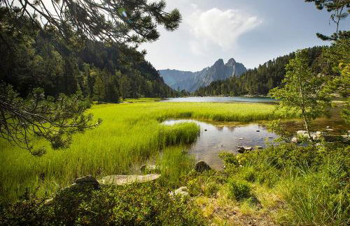 Abadía de Montenartró Apartamentos - Foto 57