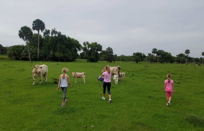 Beautiful Vacation Home CBC FARMS - Photo 26