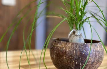 MONTAGNE-LAC&SPA (jacuzzi privé) (NOUVEAU) - Foto 15