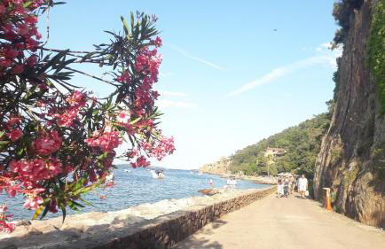 To seize Holiday rental La Maison De Noelie Rdj 300m River 800m Village - Foto 21
