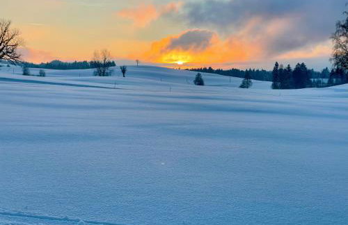 ELIs Ferienwohnung - Foto 33