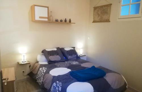 Gîte de la Cathédrale - Lectoure - Photo 6