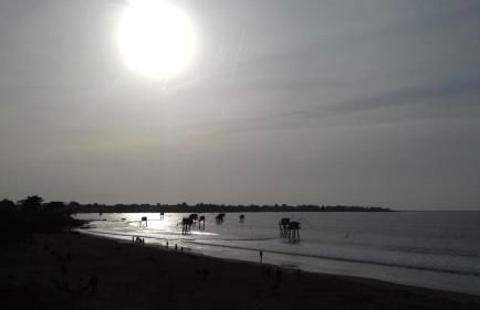 perle rare à énergie positive - Photo 12