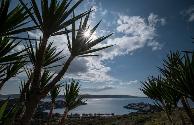 Sounio Villa - Foto 30